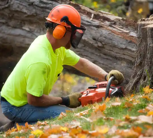 tree services Central Lake